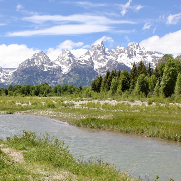 Meet your Posher, Shawn - Picture 5 of 5